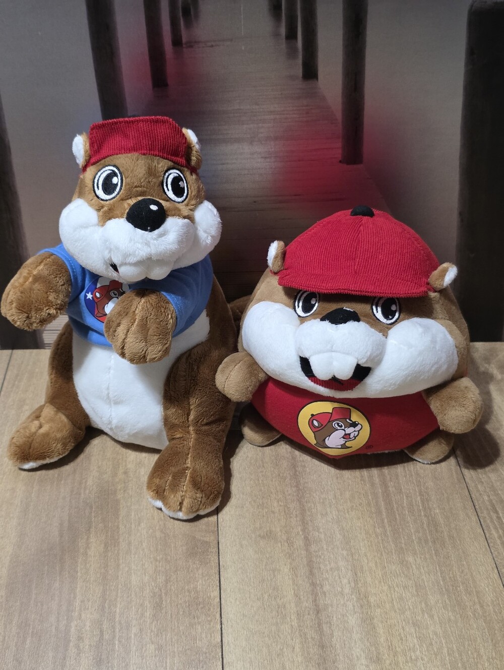 Buc-ee’s Mascot Buc-ee Beaver 11” Plush 8" Bucee's Beaver Round Plush Ball
